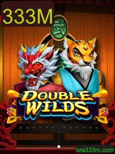 Explorando o Mundo de DoubleWilds: Um Guia Completo